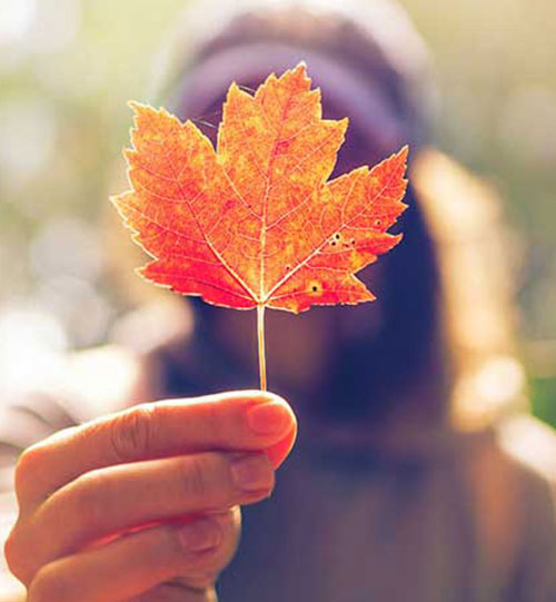 Woman holding a orange maple leaf