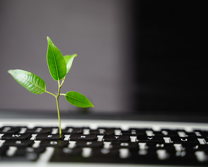 Plant on keyboard - Certifications and Audits for the Electronics Recycling Industry​